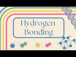 What is Hydrogen Bonding | SIMPLE Explanation