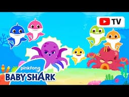 The Evil Octopus Has Stolen the Colors! | Baby Shark Hide and Seek Episodes | Baby Shark Official