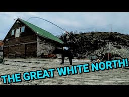 Catching halibut and Cod! in arctic Norway!