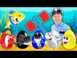 Surprise Eggs - Baby Shark + MORE Lights Kids Song