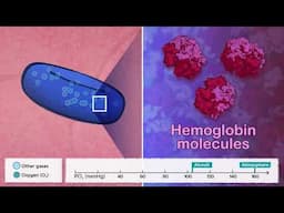 Biology of Oxygen