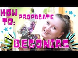 HOW TO PROPAGATE BEGONIAS| Step by Step | Easy!