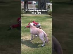 EVIL Dog Trolling on GTA 5