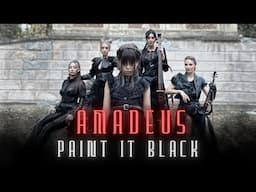 Amadeus - Paint It Black - Wednesday cello, violin and piano version