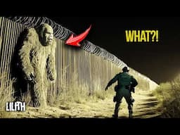 US BORDER PATROL Can't Explain What's Happening in Arizona