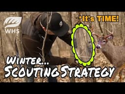 Important Winter Scouting Tips For Hardcore Deer Hunters