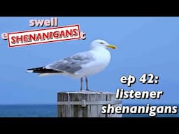 Bird droppings and left over wood || Swell Shenanigans Podcast ep 42