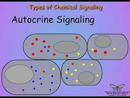 01-Introduction-Endocrinology