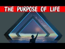 What Is The Purpose Of Life?