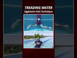 Eggbeater Kick Treading Water Technique #swimming #treadingwater #shorts