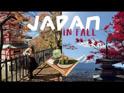 Japan in fall | Tokyo, Mt. Fuji + Kamakura 🗻🍁