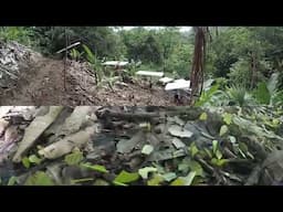 Ants Earthships