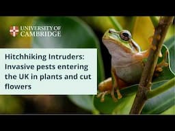 Hitchhiking Intruders: Invasive pests entering the UK in plants and cut flowers