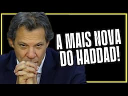 HADDAD TORCENDO PARA SAFRA SALVAR ECONOMIA | Cortes do @MBLiveTV