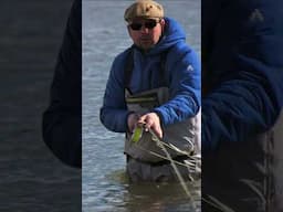 GIANT Brown Trout - Rio Grande Fly Fishing Argentina -  #flyfishing