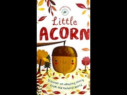 Little Acorn