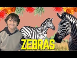 Happy World Zebra Day: Amazing Zebra Facts and How We Can Help! 🦓🌍