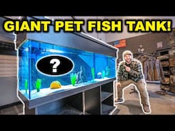 Buying a GIANT FISH TANK off FACEBOOK MARKETPLACE!!! (Bad Idea?)