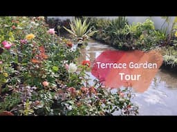 Terrace Garden Overview -Transform Small Spaces with Terrace Garden for Beginners