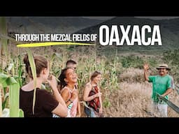 Mezcal tour in a local palenque | Oaxaca, Mexico