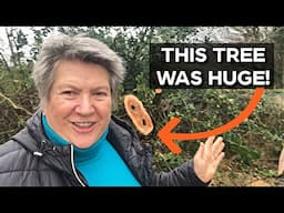 Amazing Gift in the Garden | Clearing Storm Damaged Tree