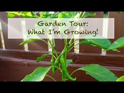 GARDEN TOUR: WHAT IM GROWING!! | Planting The World Red