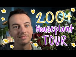 200+ Houseplant Tour and Absolute Chaos (Part 2)