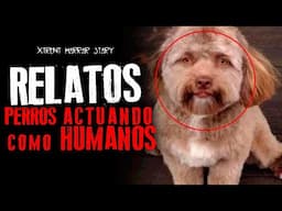 EXPERIENCIAS ATERRADORAS DE ANIMALES ACTUANDO COMO HUMANOS Parte 2 | Relatos de Terror #creepy