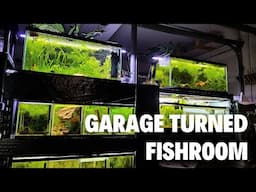 22 Aquariums in Garage - Fish Room Tour