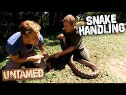 2 Men Versus 16-Foot Monstrous Python 😱 Best Of Bondi Vet