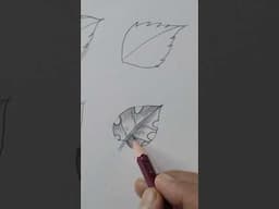 Day 10 | How to Draw Leaves 🍁 #drawing #art #sketch #learning #courses  #draw  #shortsfeed #shorts