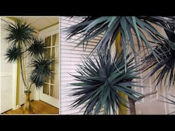 DIY Dracaena Dragon / Palm | Paper Tree