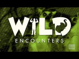 Wild Encounters: Lemur  - Teaser