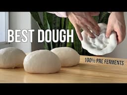 This Was My Favorite Neapolitan Pizza Dough of 2024!