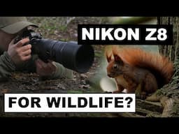 Nikon Z8 for Wildlife: Is It REALLY That Good?