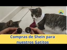 ✨ Compras en Shein para Nuestros Gatitos 🐾 | Probamos sus Nuevos Accesorios 🐱