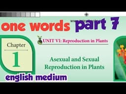 12th bio botany lesson 1| one words (part 7) | quick revision | english medium | asexual and sexual