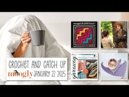 Crochet and Catch Up with Moogly - January 22, 2025