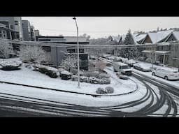 Snow Day in Seattle. Come Back Tomorrow (Music Pastoral by Alan Price from O Lucky Man)