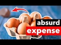 Why I Spend $1142 On Eggs Per Year