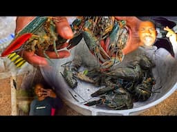 GIANT INVASIVE CRAYFISH CAUGHT IN CRYSTAL WATER  N SLINGSHOT HUNT EPIC