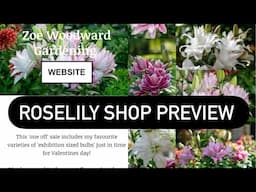 Roselily Preview - Roselily Shop Opens 10am this Saturday 8th February!