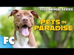 Pets In Paradise (20/26) | Season 2 Episode 07: Bad Reputation | Full Animal Pet Dog TV Show | FC