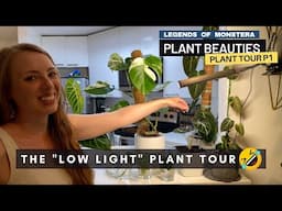 P1. Low Light Living Room Plant Tour | Monstera & Philodendrons | Plant Beauties Series