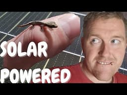 SOLAR POWERED REPTILE ROOM