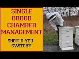 Single Brood Chamber Management: Why I Switched