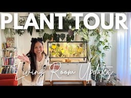 Updated Living Room Plant Tour: Fall 2024 ✨🌿