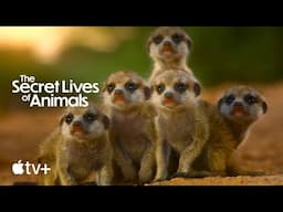 The Secret Lives of Animals — Official Trailer | Apple TV+