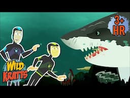 Secrets of the Sharks | Full Episodes | Wild Kratts