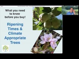 What you need to know before you purchase your fruit trees!